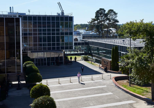 INSEAD, Prancis - universitas terbaik jurusan manajemen bisnis di dunia