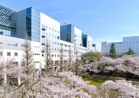 University of Tokyo (UTokyo) - kuliah di jepang dengan bahasa inggris