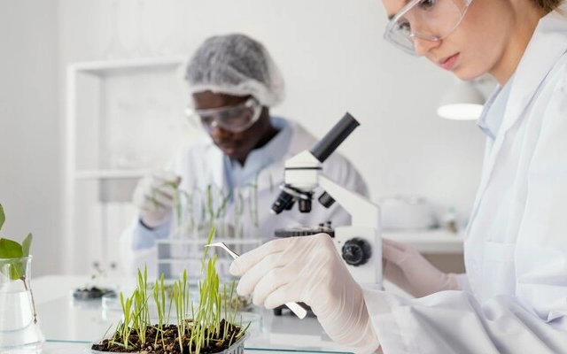 universitas jurusan bioteknologi terbaik di dunia