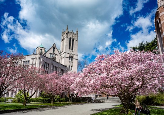 University of Washington, USA - jurusan ilmu perpustakaan di luar negeri