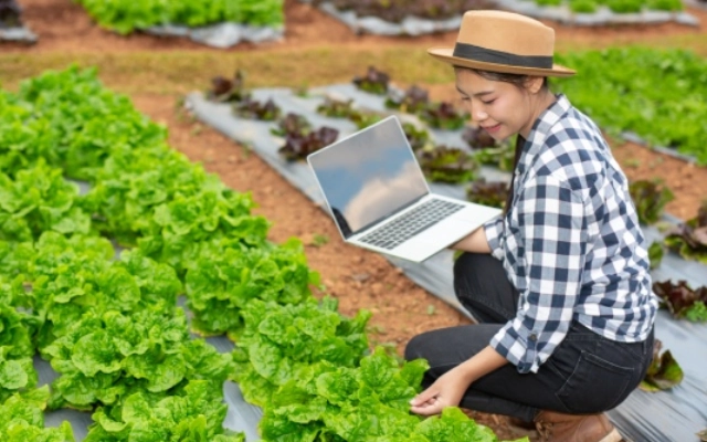 jurusan agribisnis terbaik di dunia, ini pilihan kampusnya