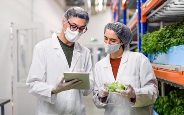 universitas untuk bachelor of food science