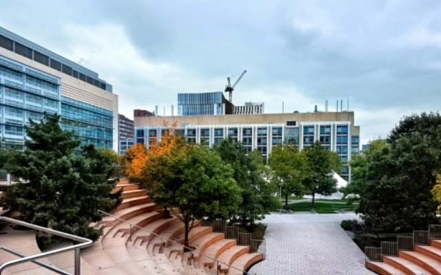 universitas terbaik di wollongong australia