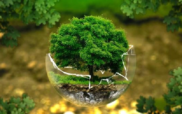 alasan banyak orang memilih s2 pendidikan biologi luar negeri