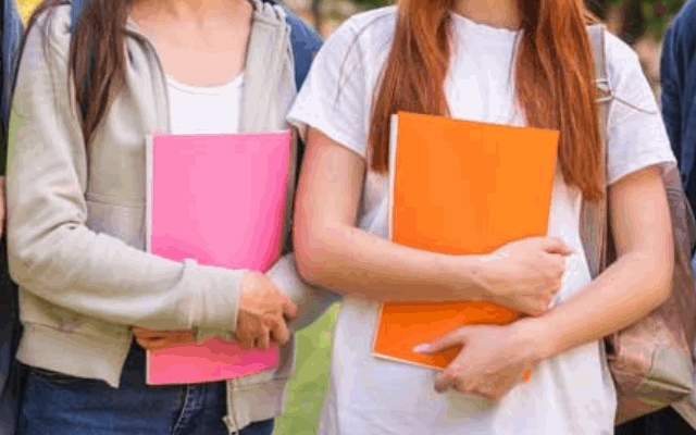 5 jurusan kuliah di media design school, new zealand