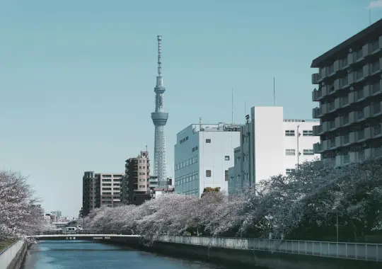 Jepang - sistem pendidikan terbaik dunia