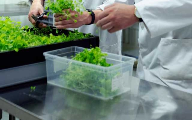 daftar jurusan kuliah di coventry university