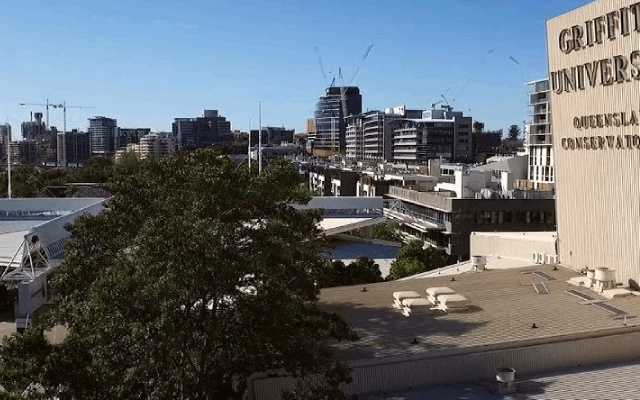 jadwal masuk kuliah di griffith university