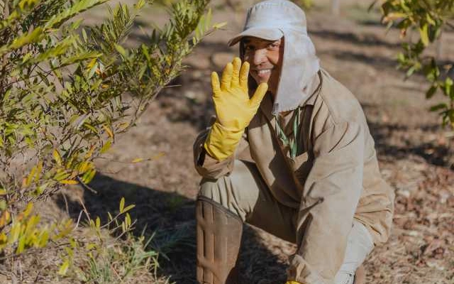 kuliah pertanian di lincoln university new zealand