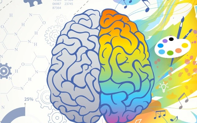 membedakan berfikir dengan otak kanan dan kiri