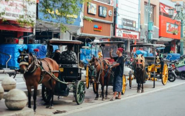 pilihan kursus bahasa inggris di yogyakarta