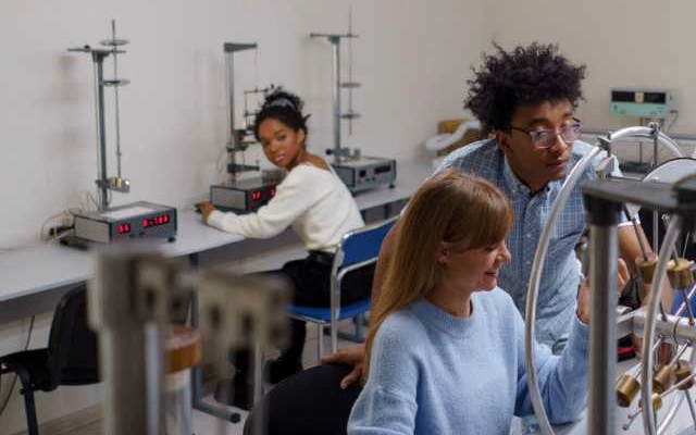 program studi di uniprep - pathway to university of south wales unsw yang dapat dipilih