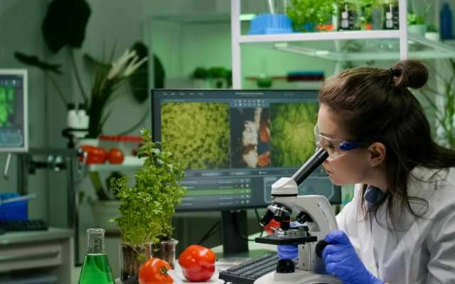 tips memilih program kuliah yang sesuai dengan anda