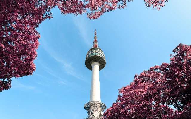 beragam jurusan di woosong university