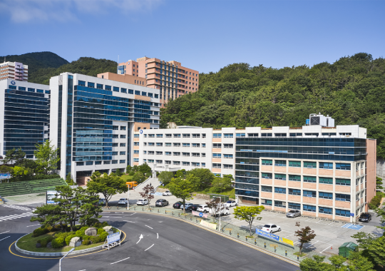Dong-Eui University - universitas atlet di korea