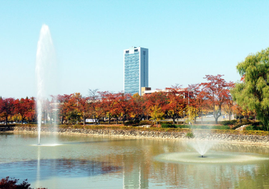 Yeungnam University - universitas atlet di korea