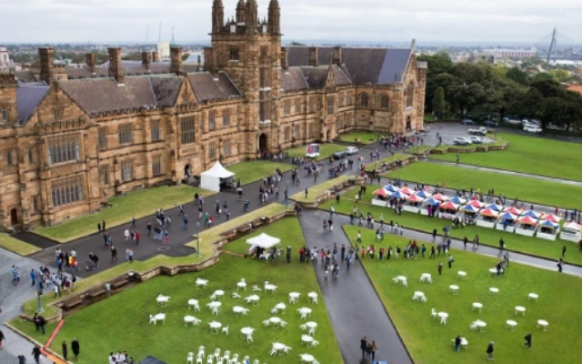 pilihan jurusan (majors) di university of sydney
