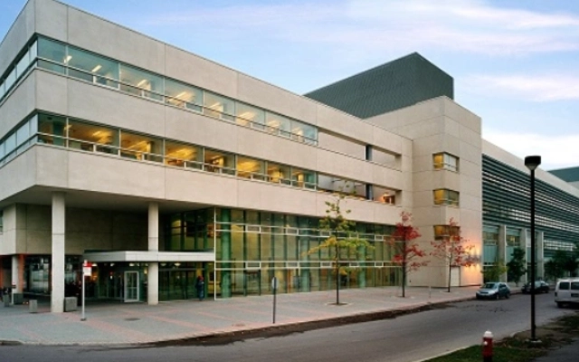 kenapa mengambil york university computer science