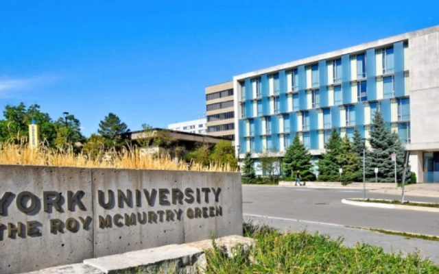 pilihan york university programs untuk pelajar internasional