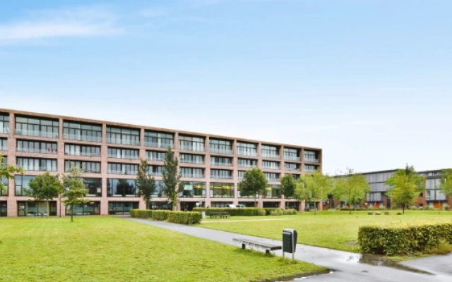 rekomendasi universitas hukum di korea selatan