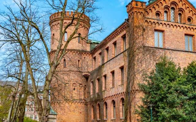 profil lengkap university of waikato