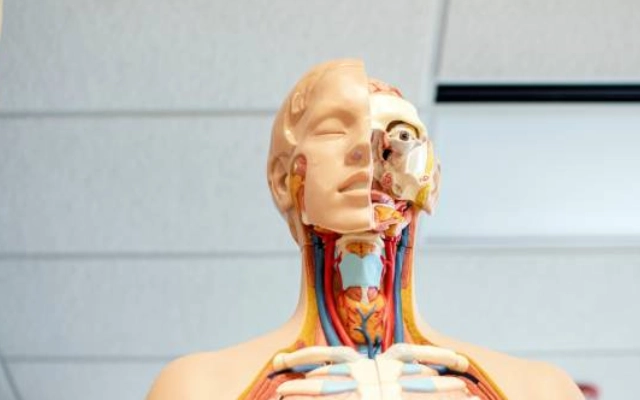 seputar program biology di university of york