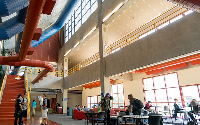 study in switzerland at geneva business school, ini pilihan jurusannya