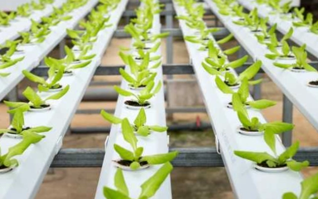 informasi kuliah bidang pertanian di australia dan prospek kerjanya