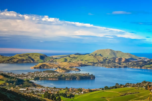 Dunedin merupakan salah satu kota di New Zealand yang dapat kamu jadikan sebagai destinasi kuliah. Temukan daftar kampusnya di sini!