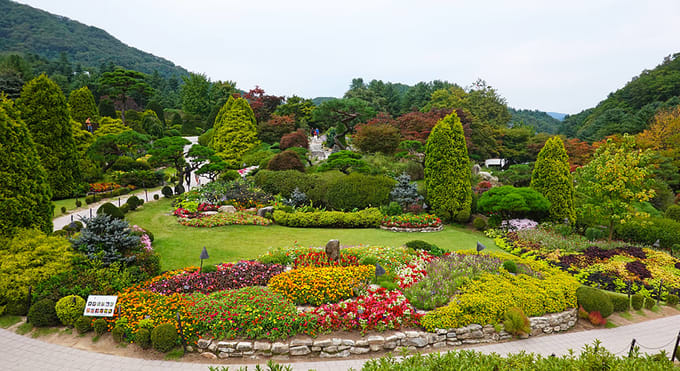 Gyeonggi-do merupakan salah satu kota di Korea Selatan yang dapat kamu jadikan sebagai destinasi kuliah. Temukan daftar kampusnya di sini!