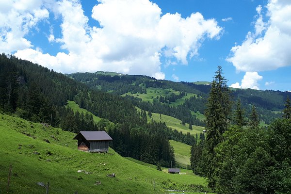 Lenk merupakan salah satu kota di Swiss yang dapat kamu jadikan sebagai destinasi kuliah. Temukan daftar kampusnya di sini!