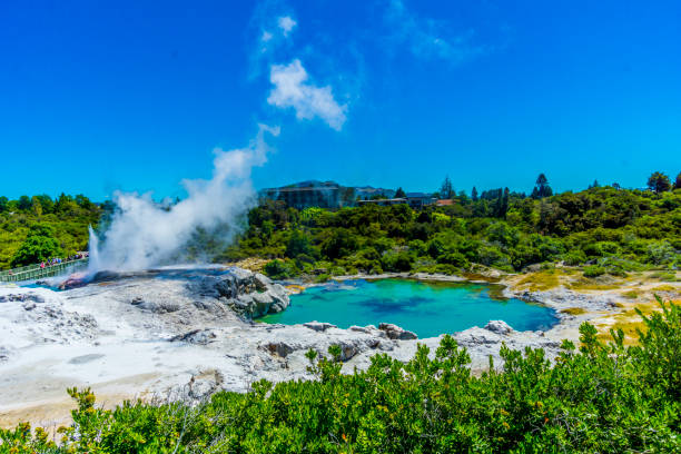 Rotorua merupakan salah satu kota di New Zealand yang dapat kamu jadikan sebagai destinasi kuliah. Temukan daftar kampusnya di sini!