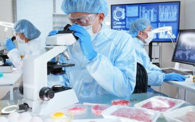 informasi lengkap tentang university of leeds jurusan food science