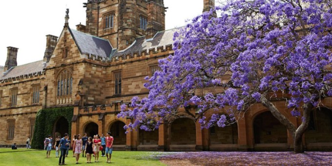 Cumberland merupakan salah satu kota di Australia yang dapat kamu jadikan sebagai destinasi kuliah. Temukan daftar kampusnya di sini!