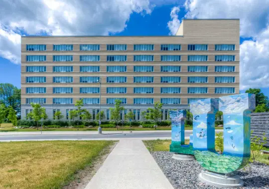 Lakehead University, Canada - Universitas jurusan software engineering