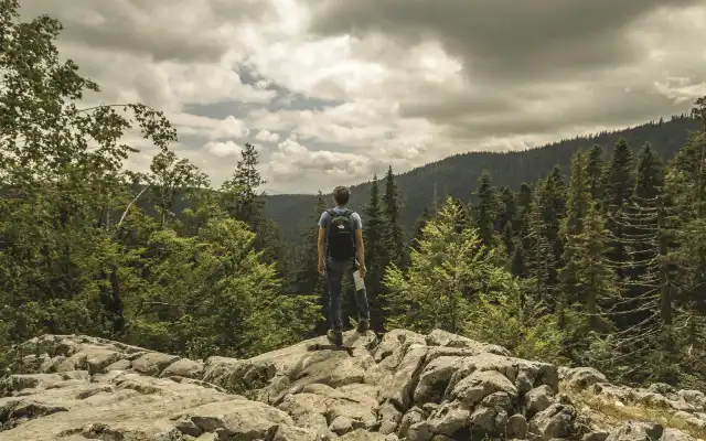 Syarat Masuk Jurusan Kehutanan, Unik Banget!