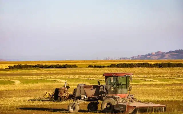 Ini Alasan Memilih Jurusan Agroteknologi