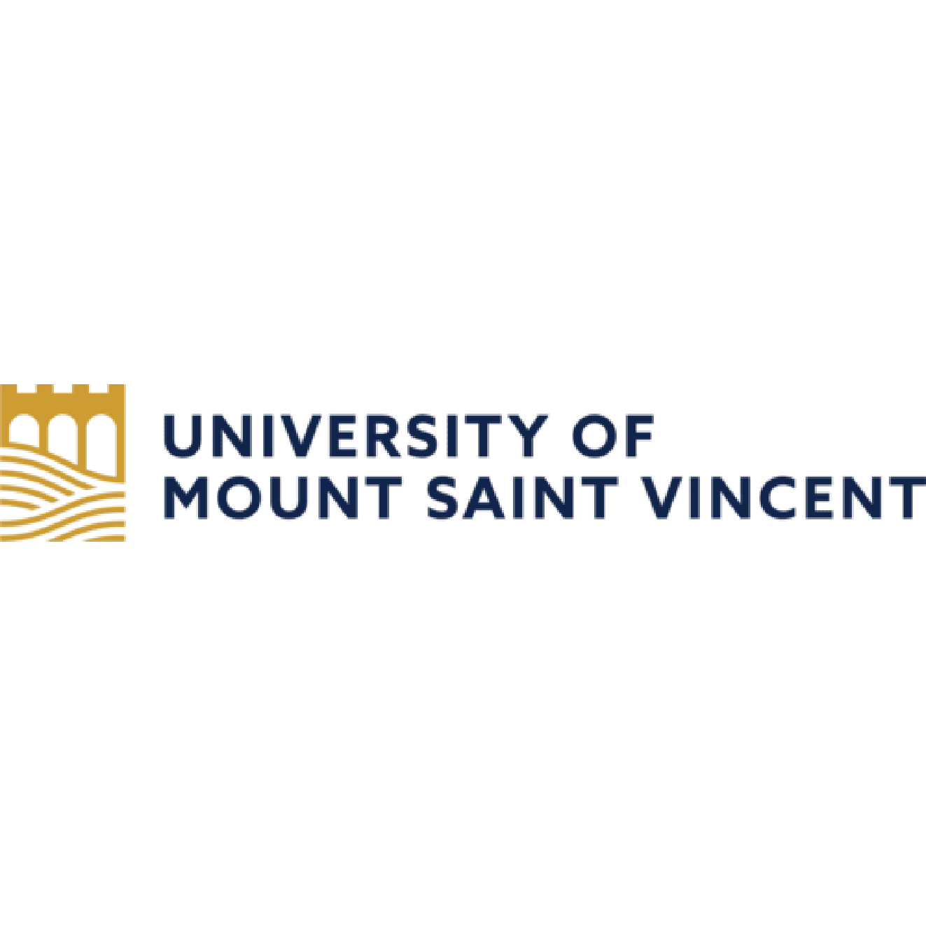 kuliah di university of mount saint vincent