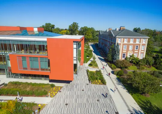 Adelphi University - kuliah bisnis amerika