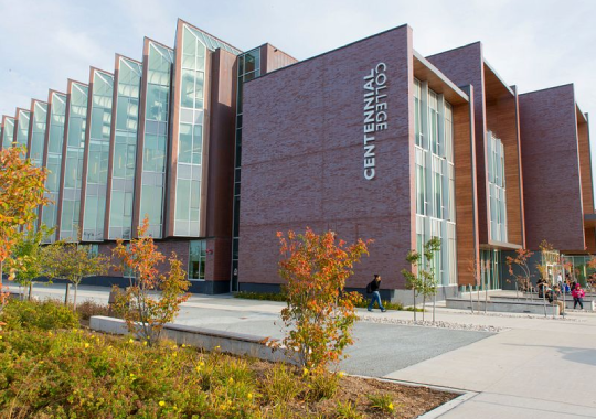 Centennial College - Jurusan Early Childhood Education (ECE) di Kanada