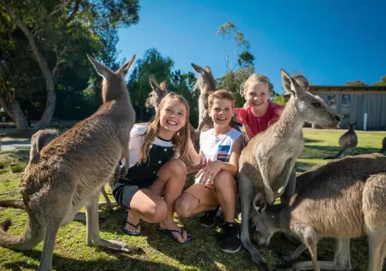 Symbio Wildlife Park - tempat wisata wollongong