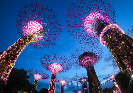 Gardens by the Bay - tempat libur di singapura