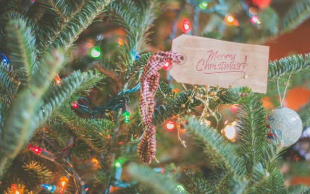 Bosan Kasih Ucapan yang Sama, Ini 50 Ucapan Natal Bahasa Inggris yang Jarang Digunakan!