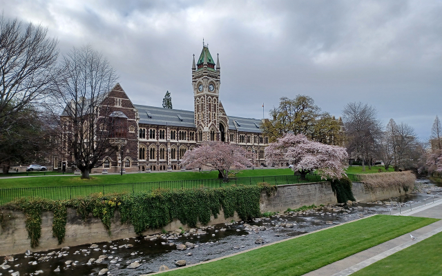 universitas terbaik di new zealand