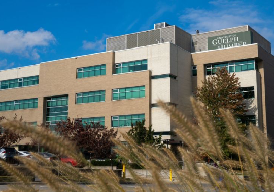 University of Guelph-Humber - Jurusan Early Childhood Education (ECE) di Kanada