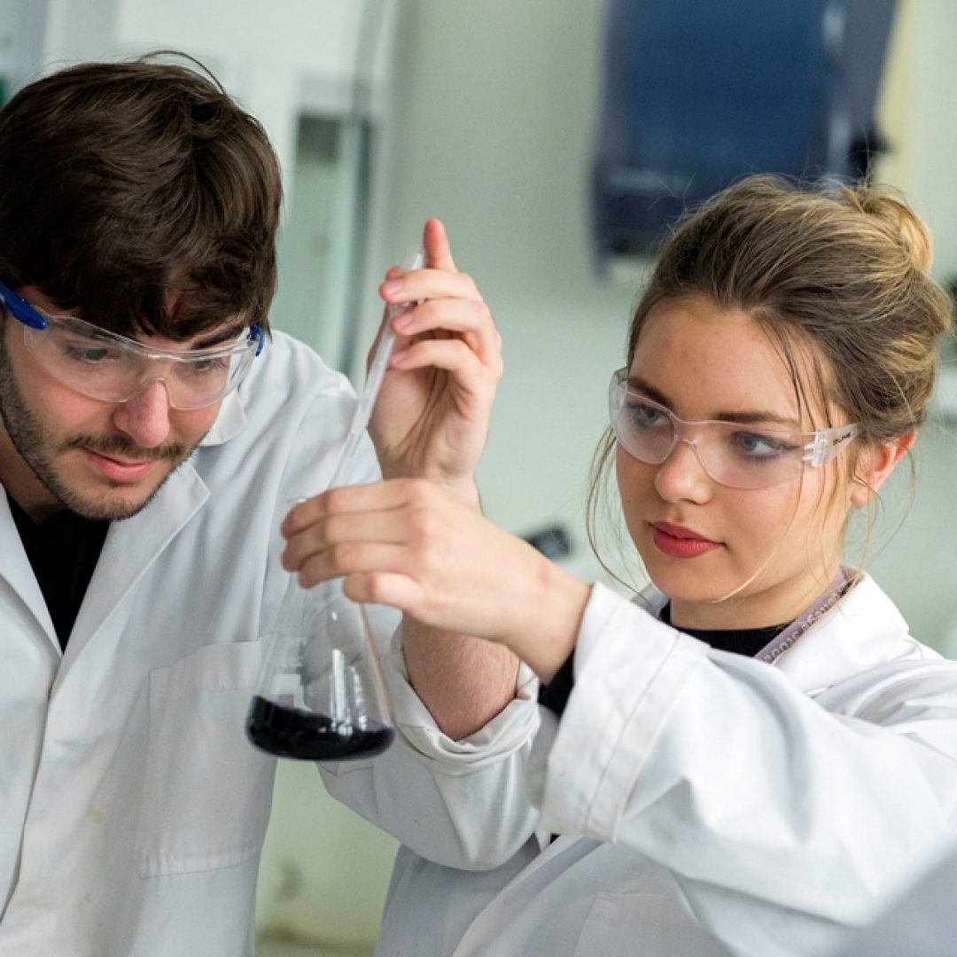 Franklin College, United Kingdom student research