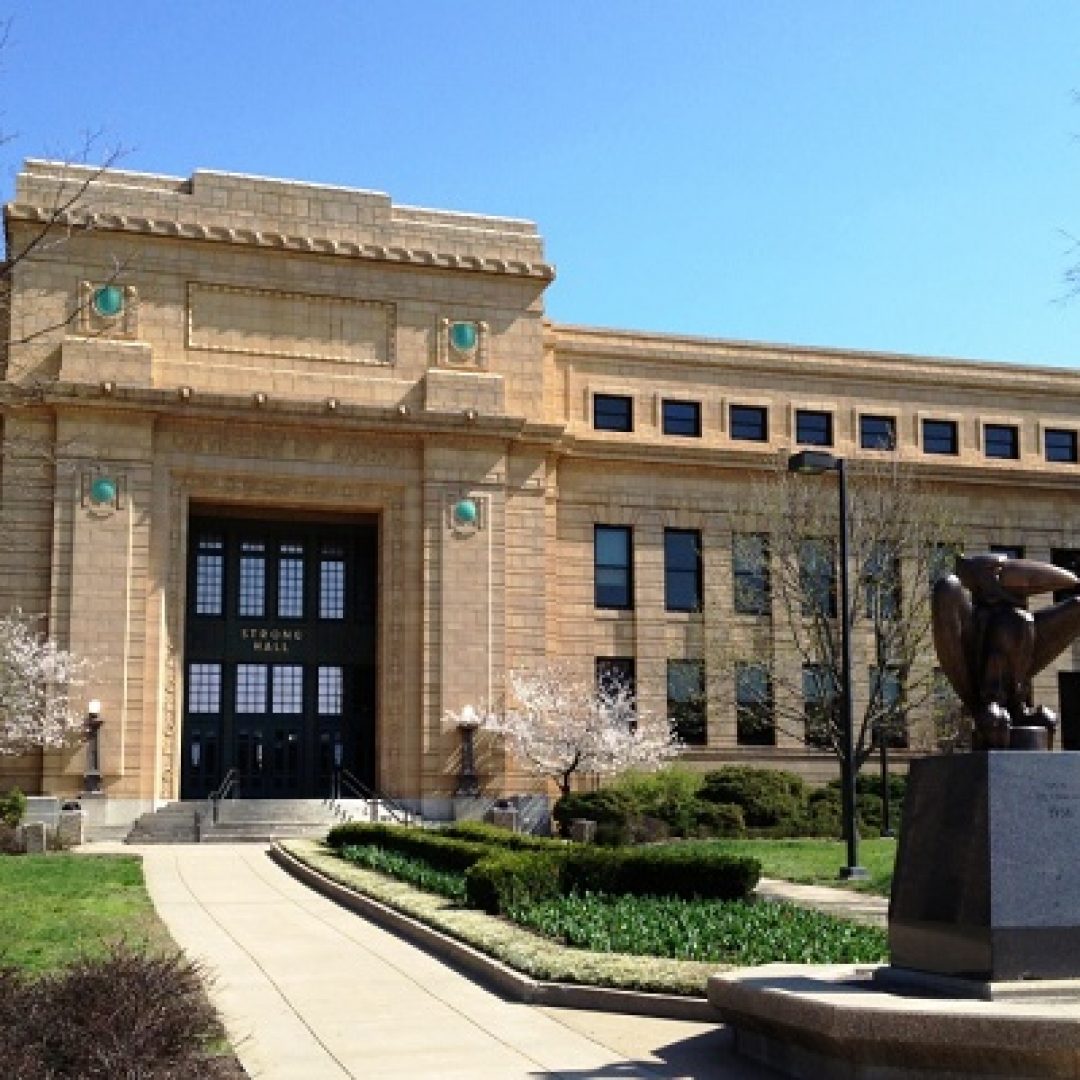 university of kansas, usa