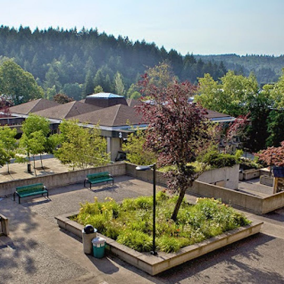 lane community college, usa