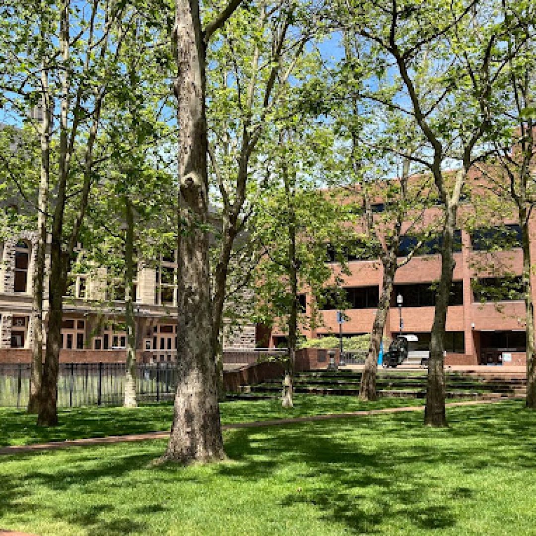 seattle central community college, usa