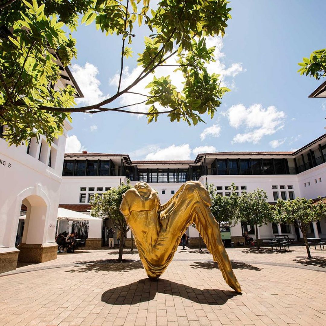 34419_-Massey-Auckland-087_06_2025.width-1200